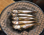 tkf001_770312