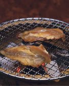 tkf001_770402
