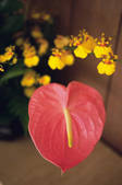 tkf001_773564