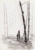tkf001_780930