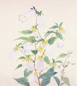 tkf001_781333