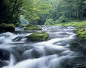tkf001_789042