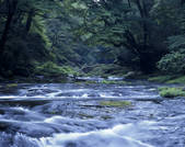 tkf001_789044