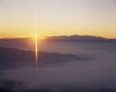 tkf001_789069