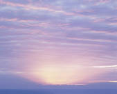 tkf001_789081
