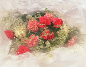 tkf001_789566