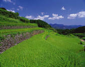 tkf001_794024