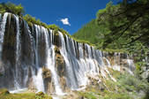 tkf001_794137