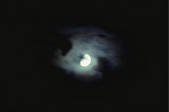 tkf001_794782