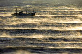 tkf001_795588