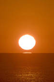 tkf001_795594