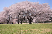 tkf001_795719