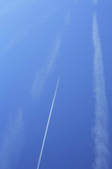 tkf001_795769