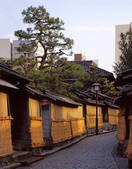tkf001_795864