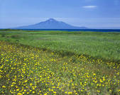 tkf001_797262
