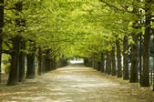tkf001_797633