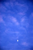 tkf001_798341