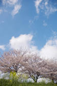tkf001_803885