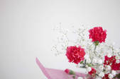 tkf001_804013