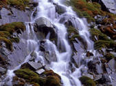 tkf001_805096