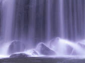 tkf001_805108