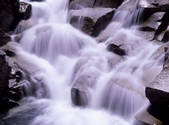 tkf001_805145