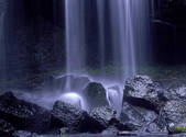 tkf001_805148