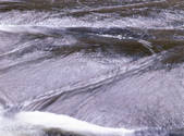 tkf001_805163