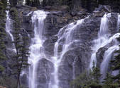 tkf001_805171