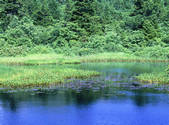 tkf001_805262