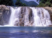 tkf001_805388