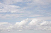 tkf001_805526