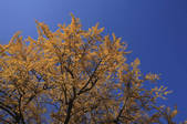 tkf001_805652