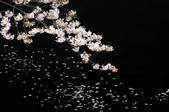 tkf001_805793
