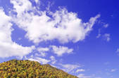 tkf001_807983