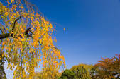 tkf001_808164