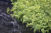 tkf001_808860