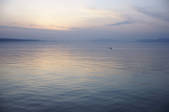 tkf001_809752
