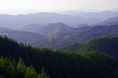 tkf001_809855
