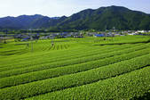 tkf001_809906