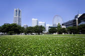 tkf001_810548