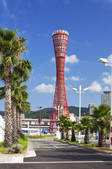 tkf001_812294
