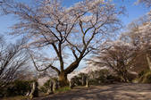 tkf001_813529