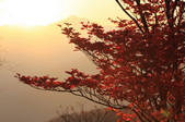 tkf001_814824