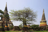 tkf001_814865