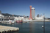 tkf001_817008