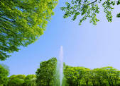 tkf001_817058