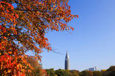 tkf001_817075