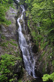 tkf001_817216