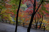 tkf001_817330